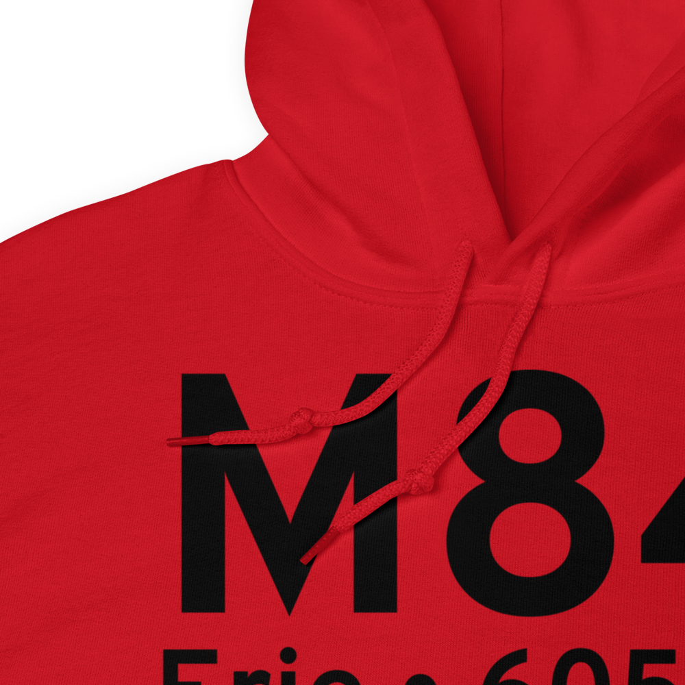 Erie (M84) Airport Hoodie Sweatshirt 
