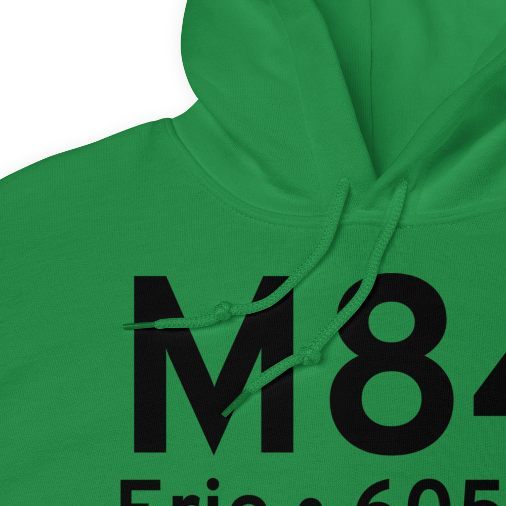 Erie (M84) Airport Hoodie Sweatshirt 