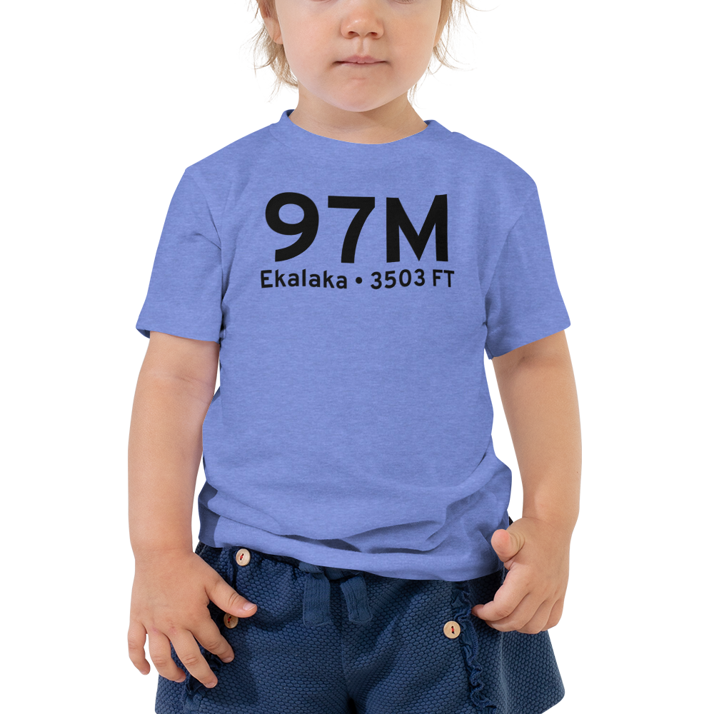 Ekalaka (K97M) Airport Toddler T-Shirt 