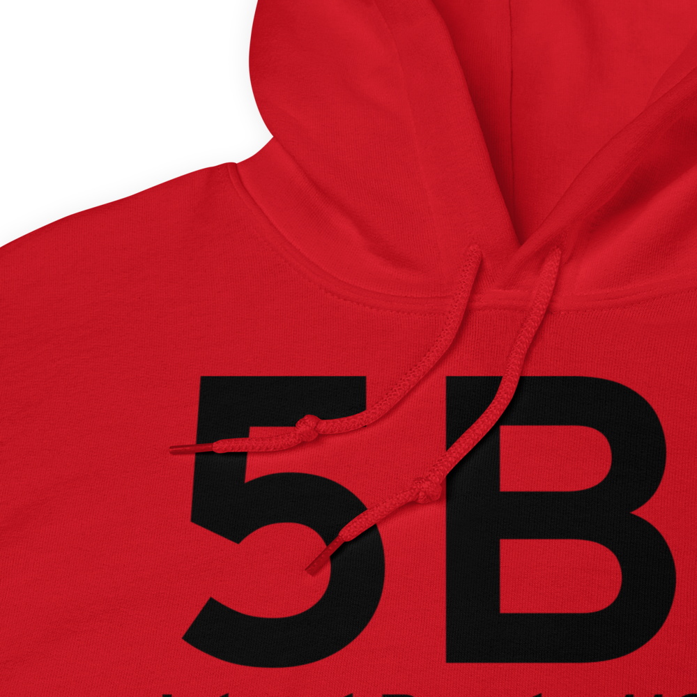 Island Pond (5B1) Airport Hoodie Sweatshirt 