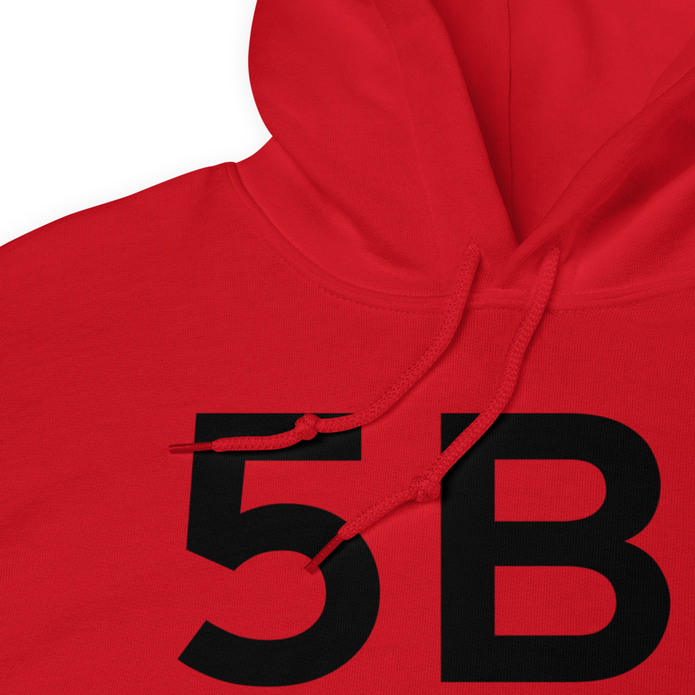 Island Pond (5B1) Airport Hoodie Sweatshirt 