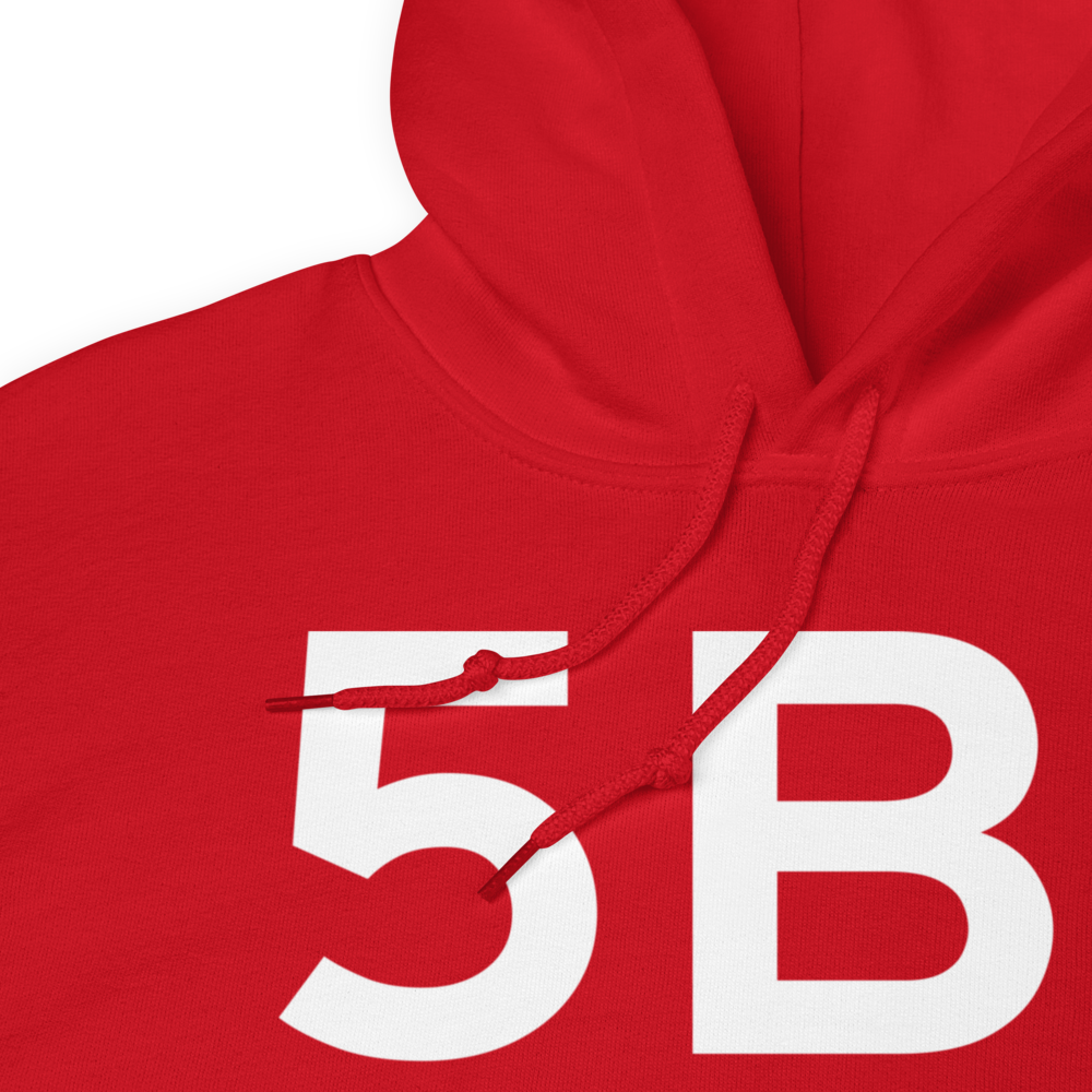 Island Pond (5B1) Airport Hoodie Sweatshirt 