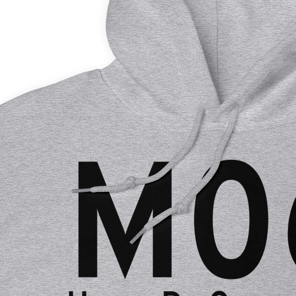 Havre De Grace (M06) Airport Hoodie Sweatshirt 