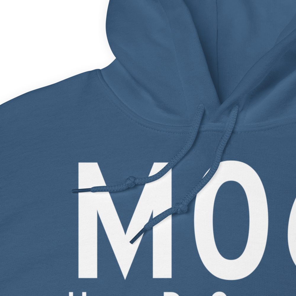 Havre De Grace (M06) Airport Hoodie Sweatshirt 