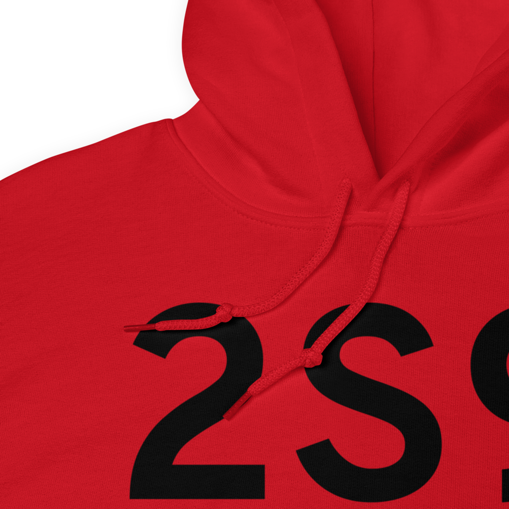 South Bend/Raymond/ (K2S9) Airport Hoodie Sweatshirt 