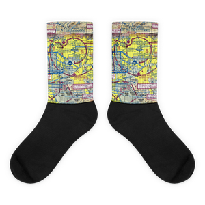 Chino Airport (CNO) VFR Sectional Socks
