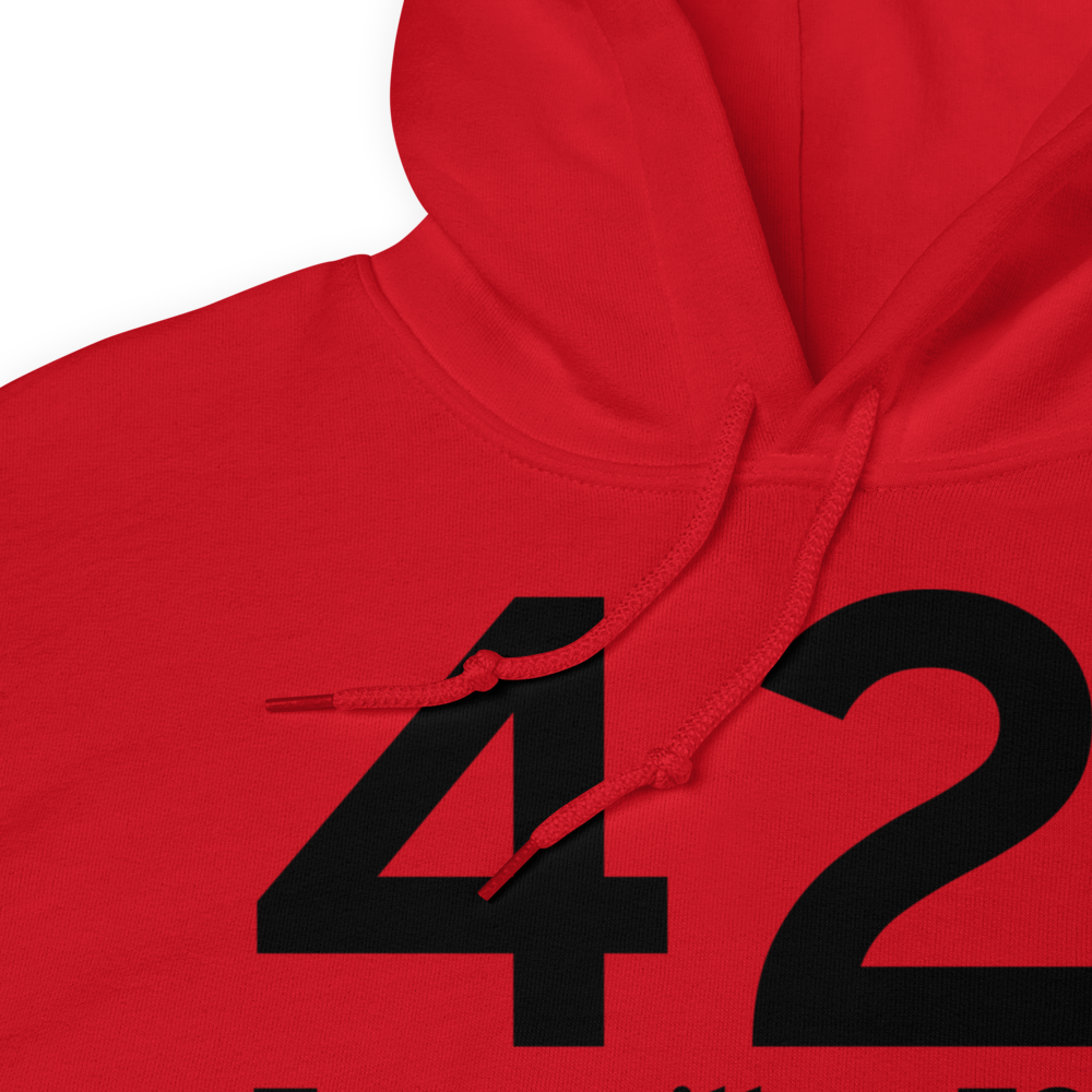 Zanesville (K42I) Airport Hoodie Sweatshirt 