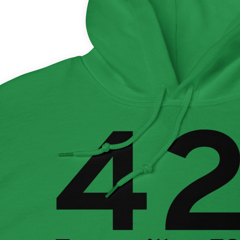 Zanesville (K42I) Airport Hoodie Sweatshirt 