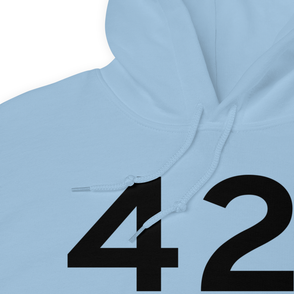 Zanesville (K42I) Airport Hoodie Sweatshirt 