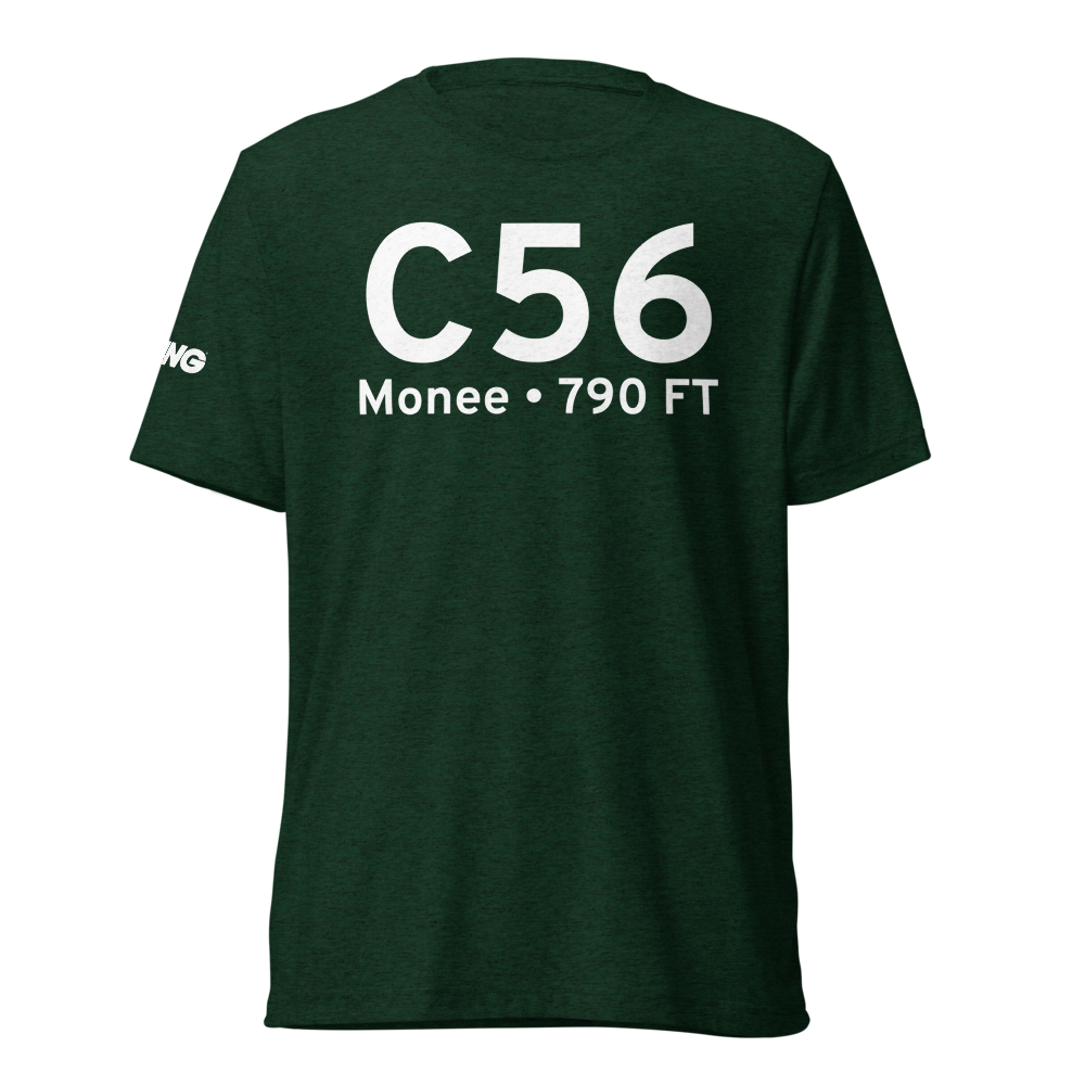 Monee (C56) Airport Tri-blend T-Shirt 