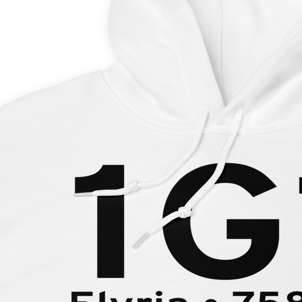 Elyria (K1G1) Airport Hoodie Sweatshirt 