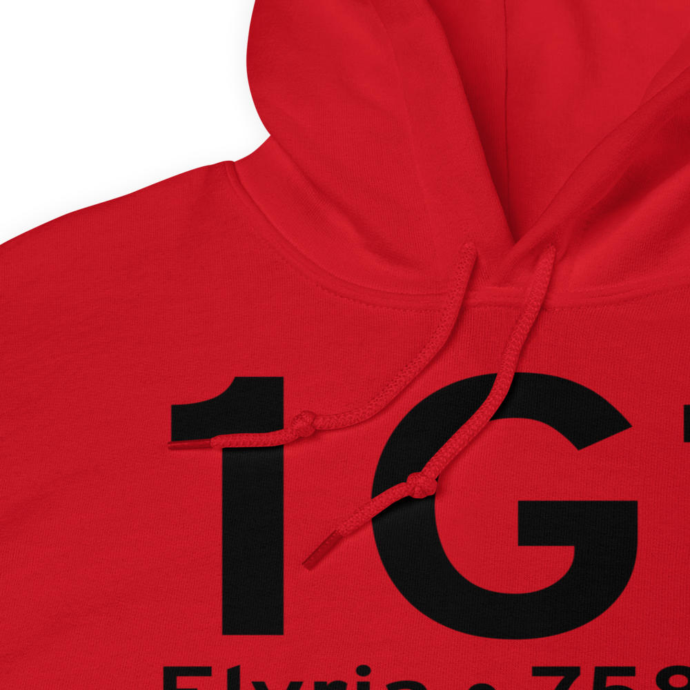 Elyria (K1G1) Airport Hoodie Sweatshirt 