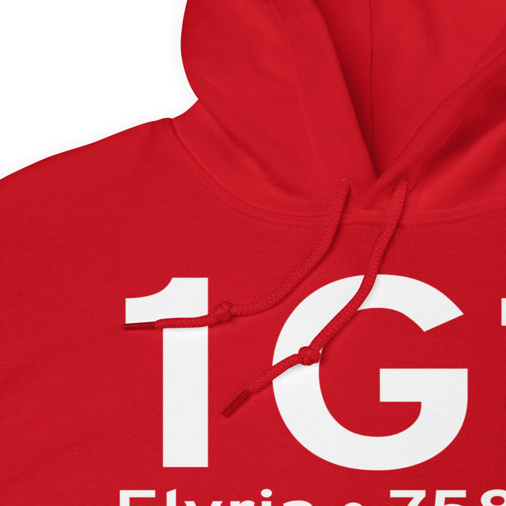 Elyria (K1G1) Airport Hoodie Sweatshirt 