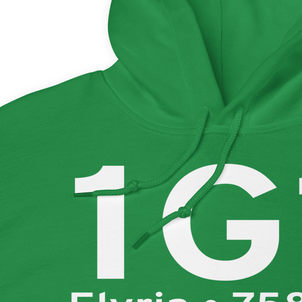 Elyria (K1G1) Airport Hoodie Sweatshirt 