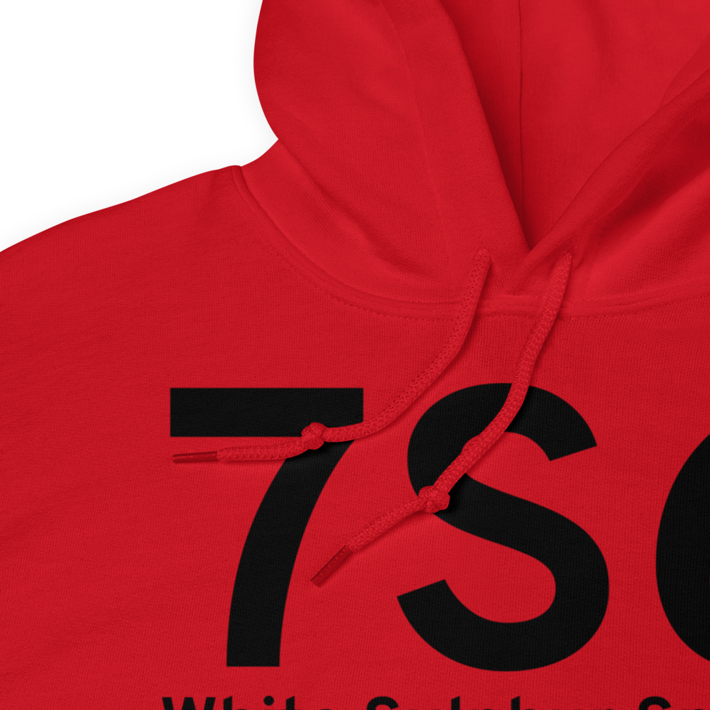 White Sulphur Springs (K7S6) Airport Hoodie Sweatshirt 