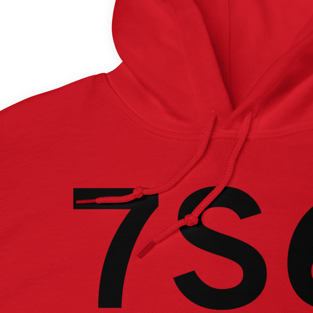 White Sulphur Springs (K7S6) Airport Hoodie Sweatshirt 