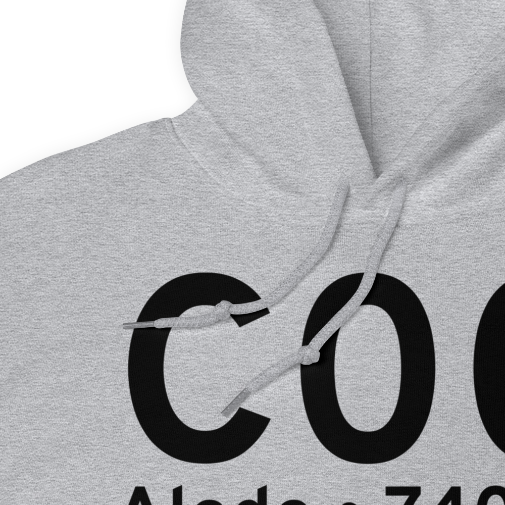 Aledo (C00) Airport Hoodie Sweatshirt 