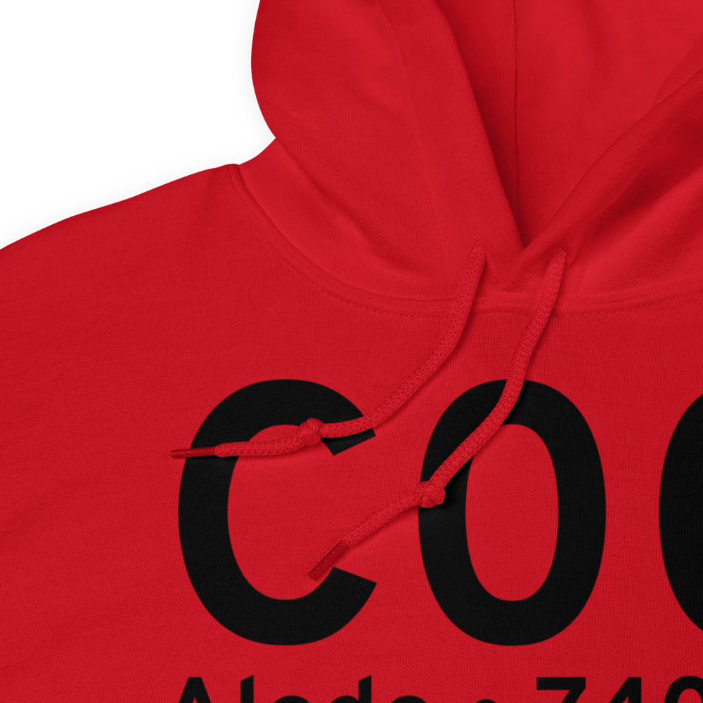 Aledo (C00) Airport Hoodie Sweatshirt 