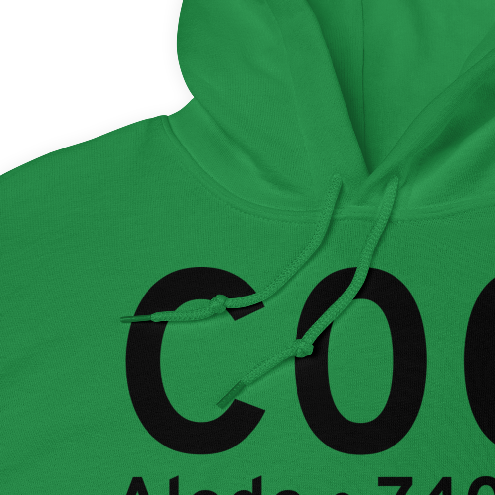 Aledo (C00) Airport Hoodie Sweatshirt 
