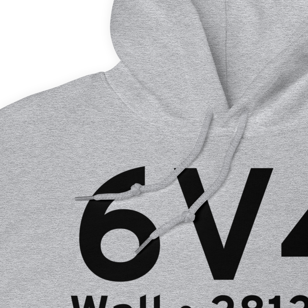 Wall (K6V4) Airport Hoodie Sweatshirt 