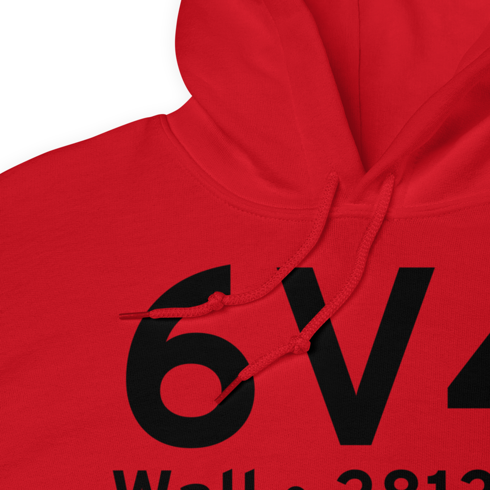 Wall (K6V4) Airport Hoodie Sweatshirt 