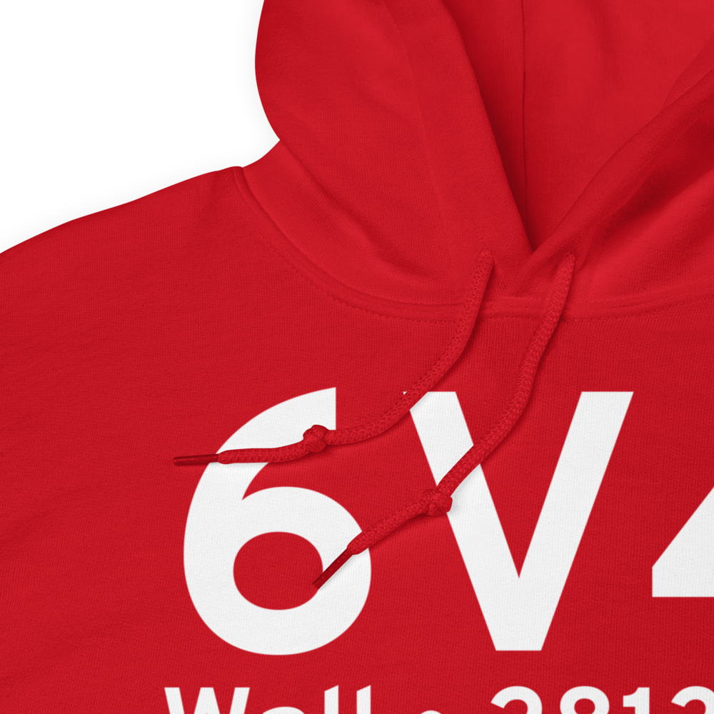 Wall (K6V4) Airport Hoodie Sweatshirt 