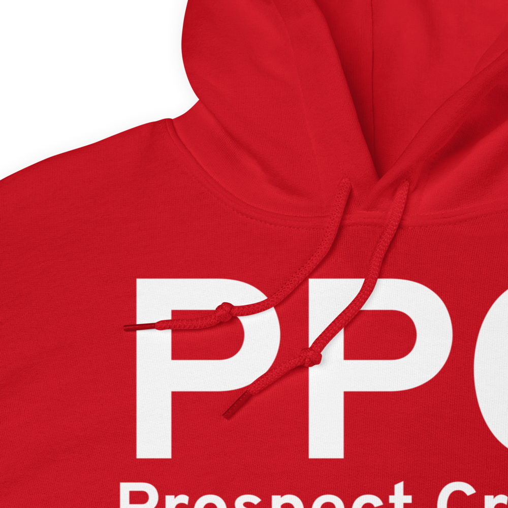 Prospect Creek (PAPR) Airport Hoodie Sweatshirt 