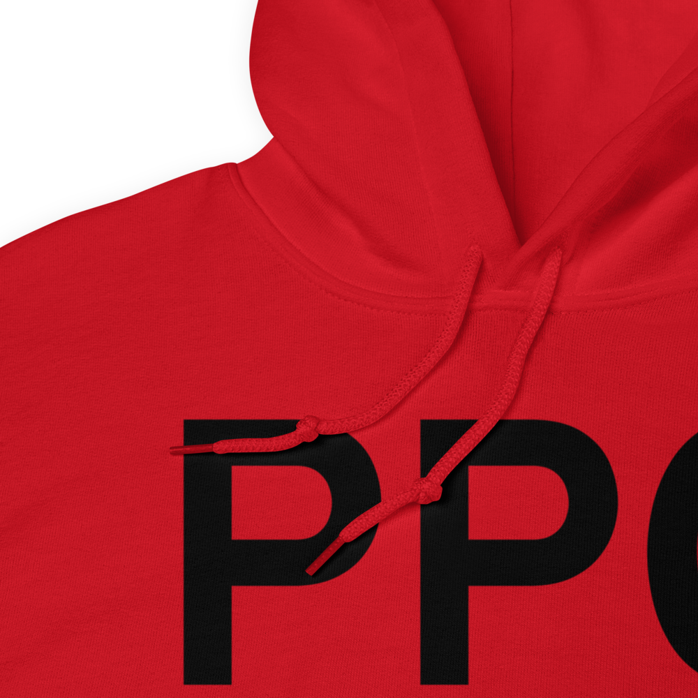 Prospect Creek (PAPR) Airport Hoodie Sweatshirt 