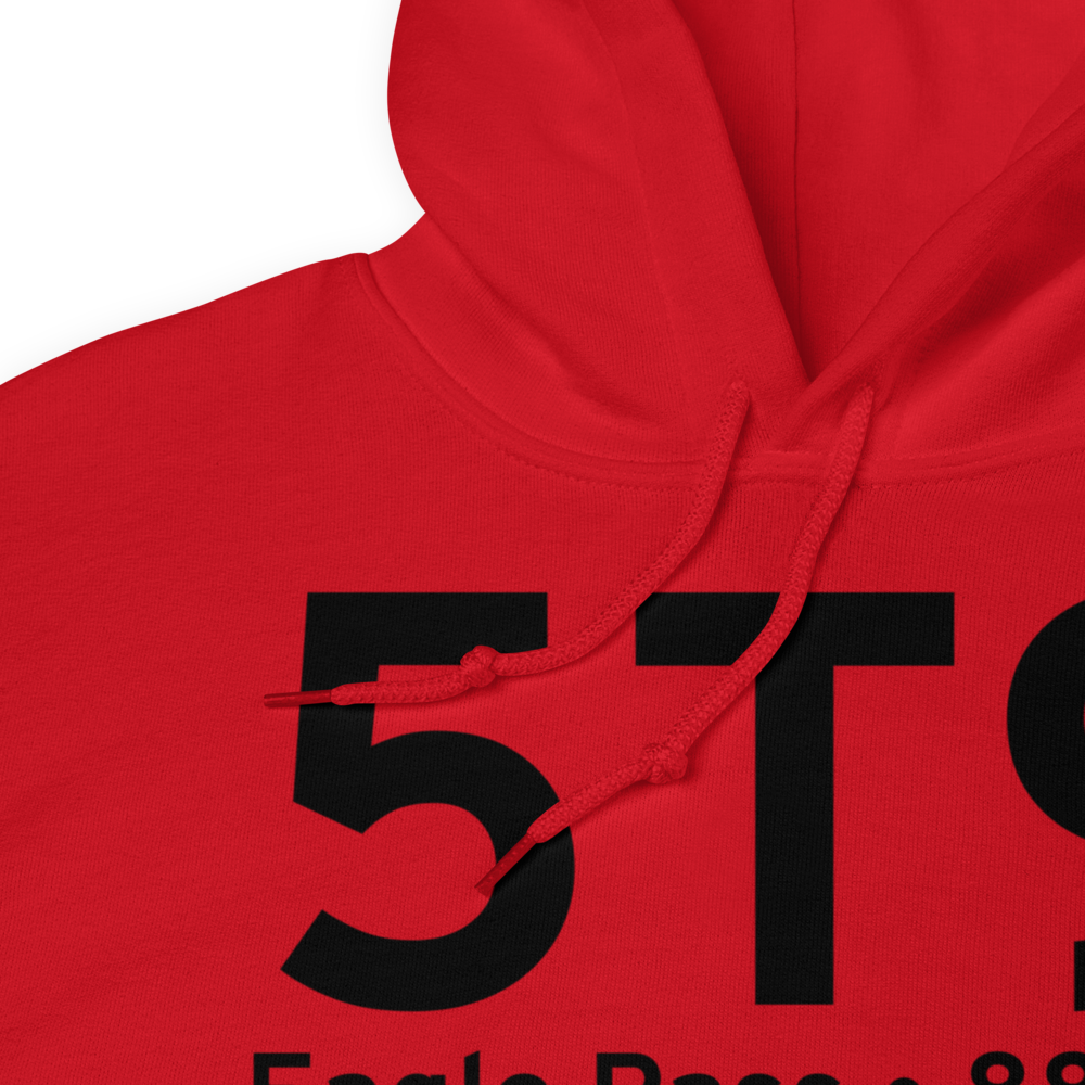 Eagle Pass (K5T9) Airport Hoodie Sweatshirt 