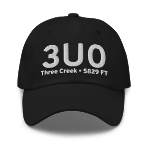 Three Creek (3U0) Airport Hat