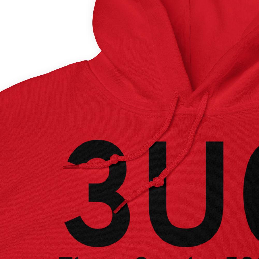 Three Creek (3U0) Airport Hoodie Sweatshirt 