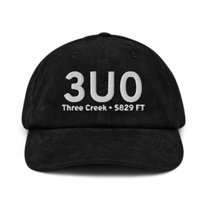 Three Creek (3U0) Airport Hat