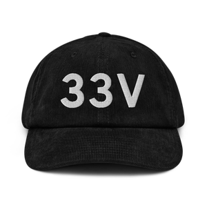 Walden (K33V) Airport Hat