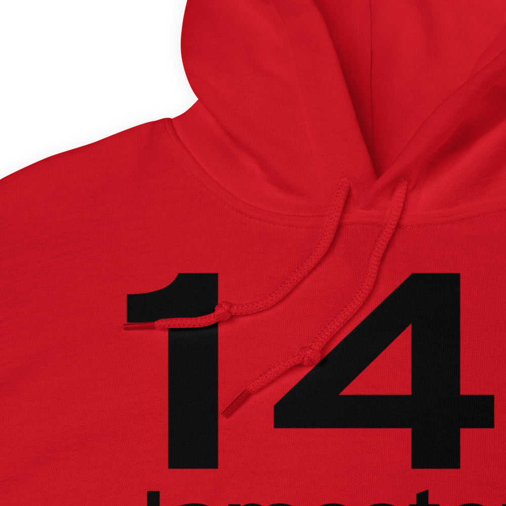 Jamestown (14I) Airport Hoodie Sweatshirt 