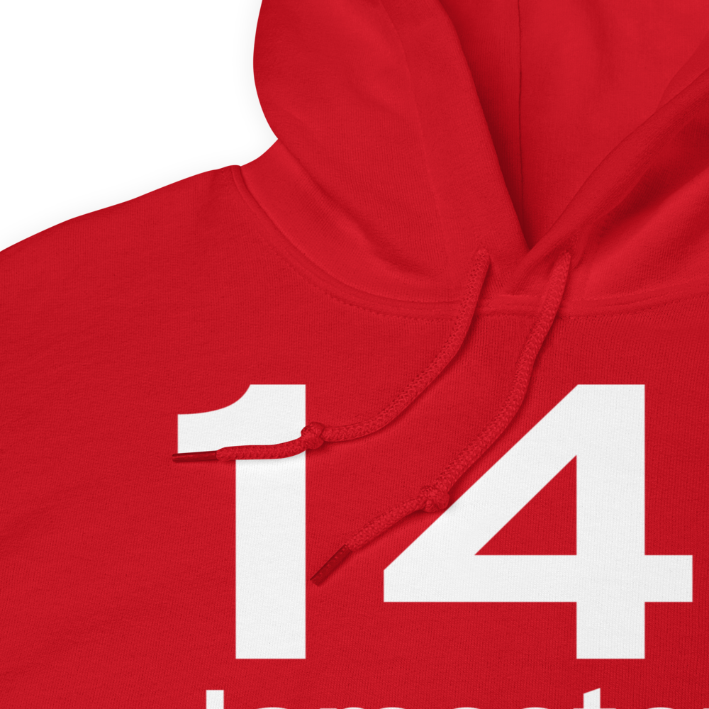 Jamestown (14I) Airport Hoodie Sweatshirt 
