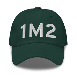 Belzoni (K1M2) Airport Hat