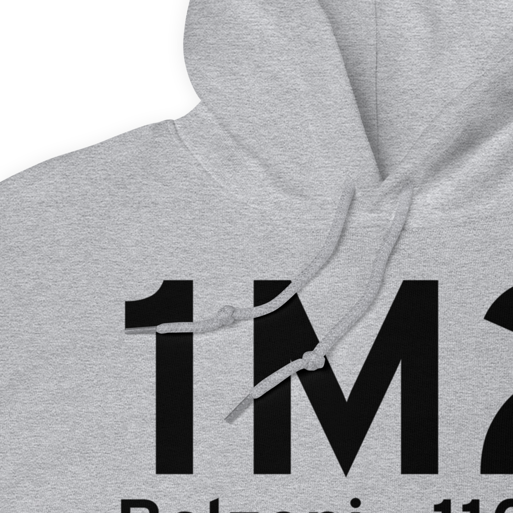 Belzoni (K1M2) Airport Hoodie Sweatshirt 