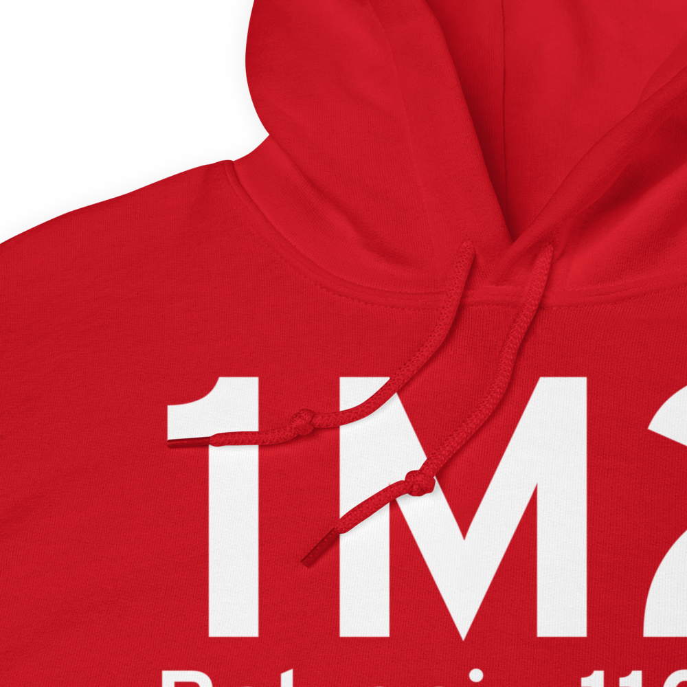 Belzoni (K1M2) Airport Hoodie Sweatshirt 