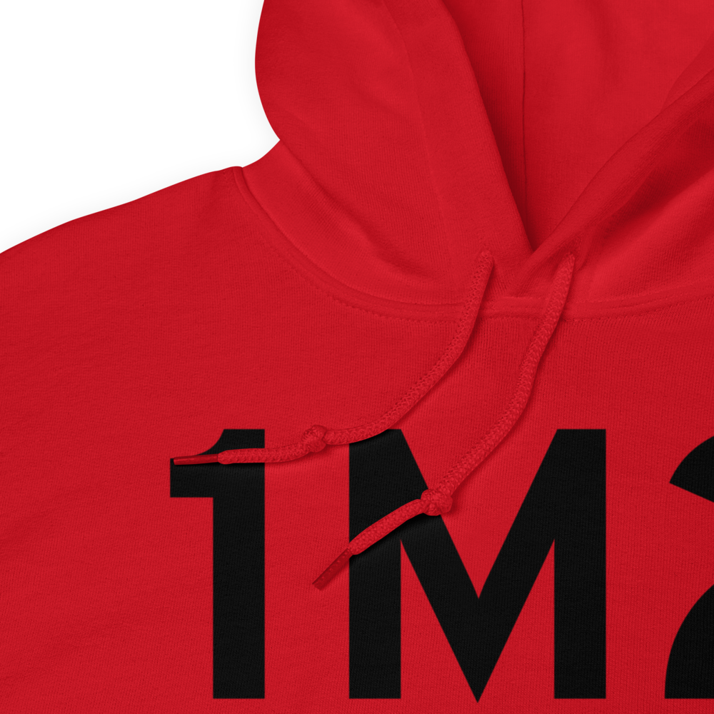 Belzoni (K1M2) Airport Hoodie Sweatshirt 