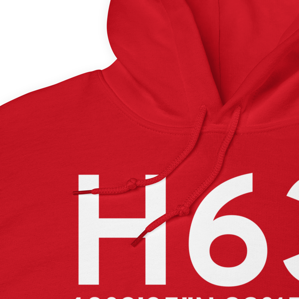 Alma (H63) Airport Hoodie Sweatshirt 