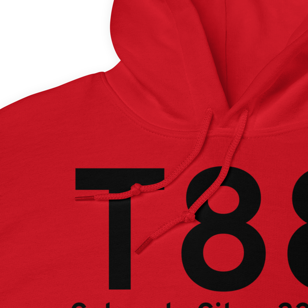 Colorado City (KT88) Airport Hoodie Sweatshirt 