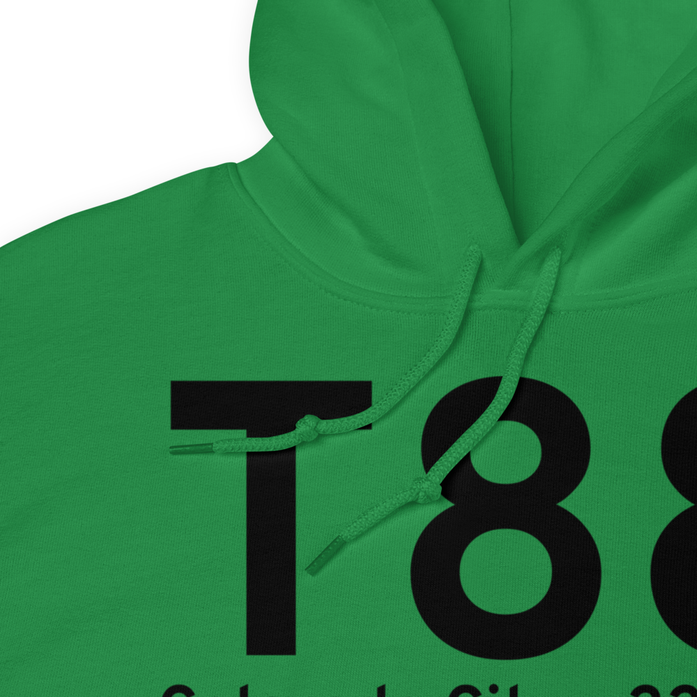 Colorado City (KT88) Airport Hoodie Sweatshirt 