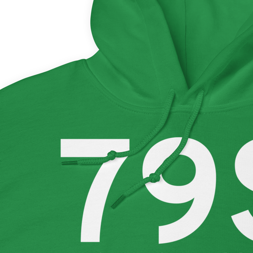 Fort Benton (K79S) Airport Hoodie Sweatshirt 