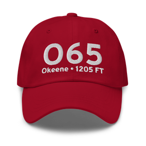 Okeene (KO65) Airport Hat