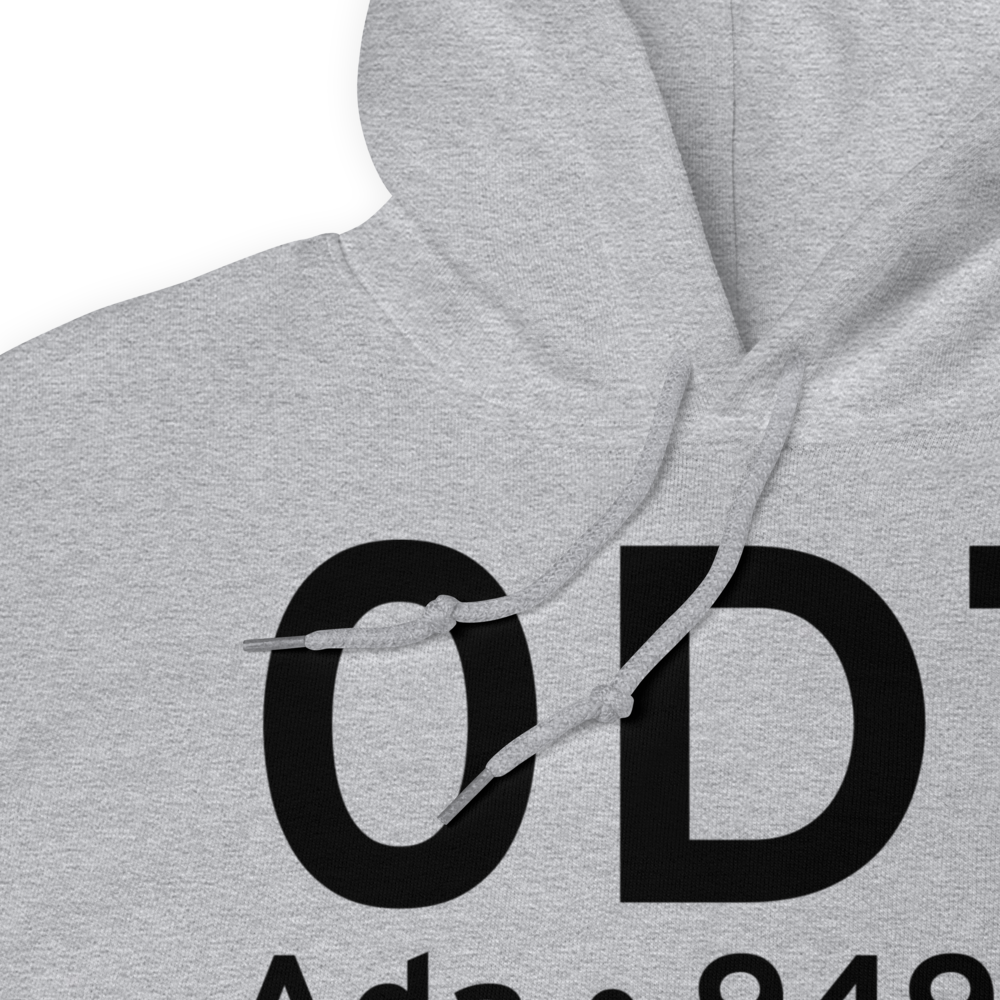 Ada (0D7) Airport Hoodie Sweatshirt 