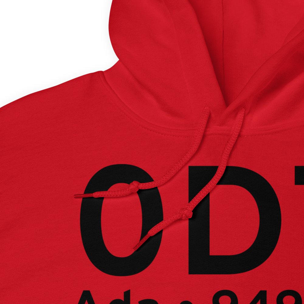 Ada (0D7) Airport Hoodie Sweatshirt 