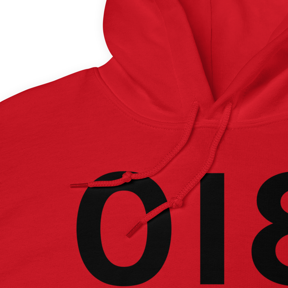 Cynthiana (K0I8) Airport Hoodie Sweatshirt 