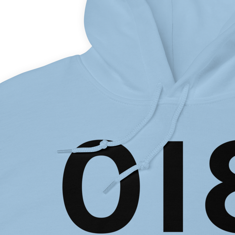 Cynthiana (K0I8) Airport Hoodie Sweatshirt 