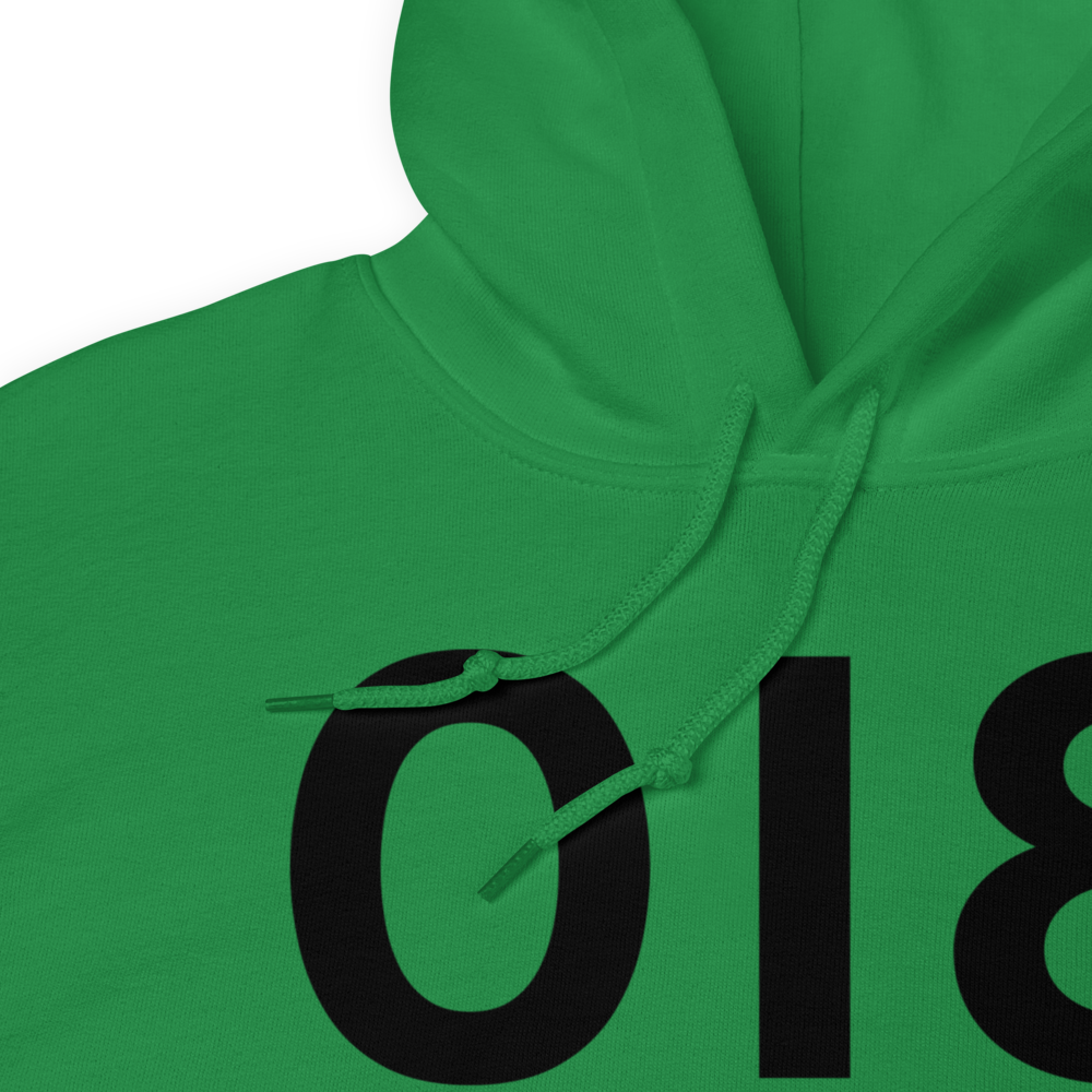 Cynthiana (K0I8) Airport Hoodie Sweatshirt 