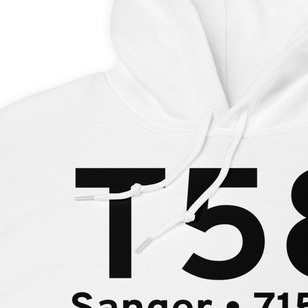 Sanger (T58) Airport Hoodie Sweatshirt 